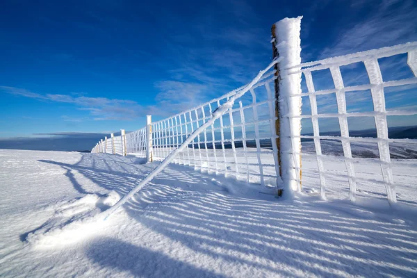 Une clôture métallique gelée — Photo