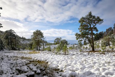 Cairngorms, İskoçya Highlands