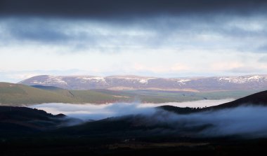 Rothiemurchus orman İskoçya Highlands