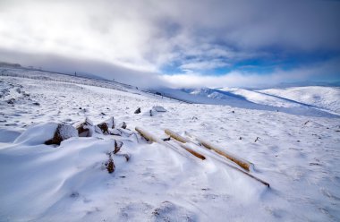 Cairngorms, İskoçya Highlands