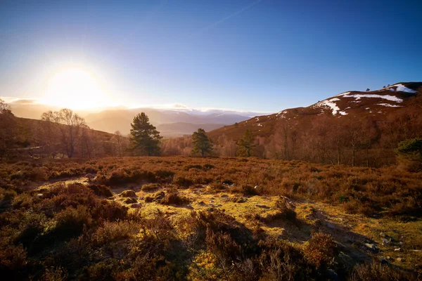 Sonnenaufgang über dem Wald bei lynwilg — Stockfoto