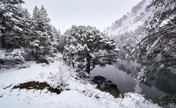 Un frío nevado Loch Uaine — Foto de Stock