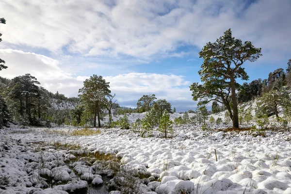 Cairngorms, Scottish Highlands — Stock Photo, Image