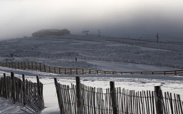 Cairngorms, Highlands écossais — Photo