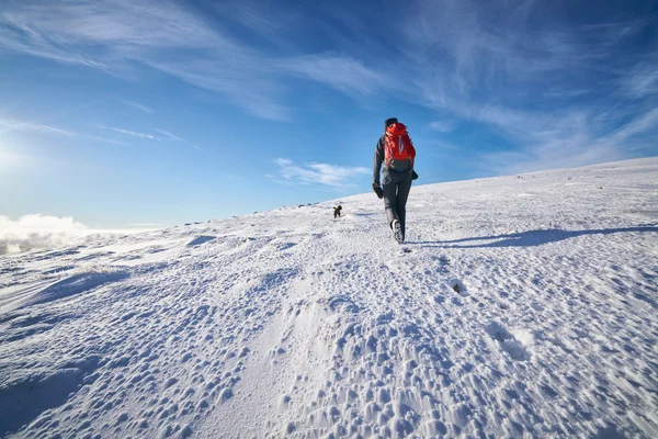 Kvinnliga vandrare med sin hund — Stockfoto