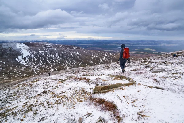 Cairngorms, schottisches Hochland — Stockfoto