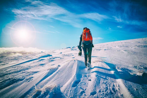 Cairngorms, Terras Altas da Escócia — Fotografia de Stock