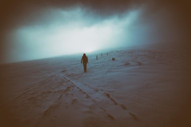 Kadın uzun yürüyüşe çıkan kimse ve köpeği