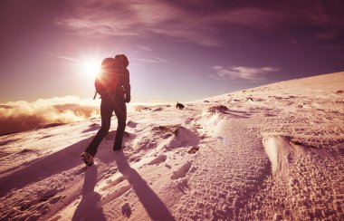 Onu köpek ile kadın fiyatı