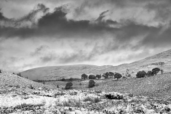 Nuvens de tempestade sobre Glenmore Forest Park — Fotografia de Stock