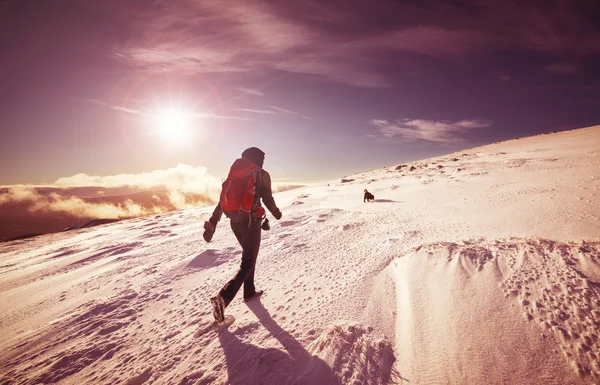 A hiker walking in the Scottish Highlands — Stock Photo, Image