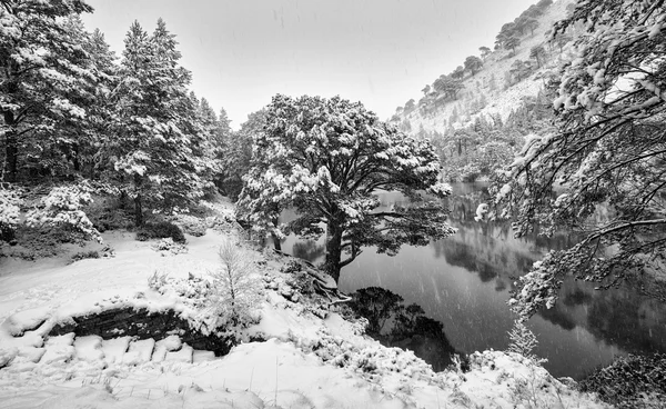 Un freddo Loch Uaine nevoso — Foto Stock