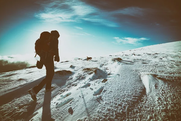 Ženské turista se svým psem — Stock fotografie