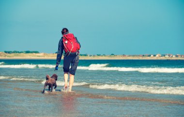 bir köpek ile bir plajda yürüyüş uzun yürüyüşe çıkan kimse