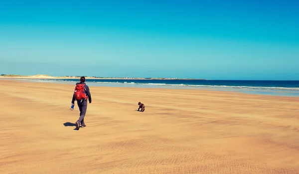 Πεζοπόρος περπάτημα σε μια παραλία με ένα σκυλί — Φωτογραφία Αρχείου