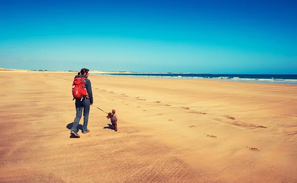 Excursionista paseando en una playa con un perro — Foto de Stock