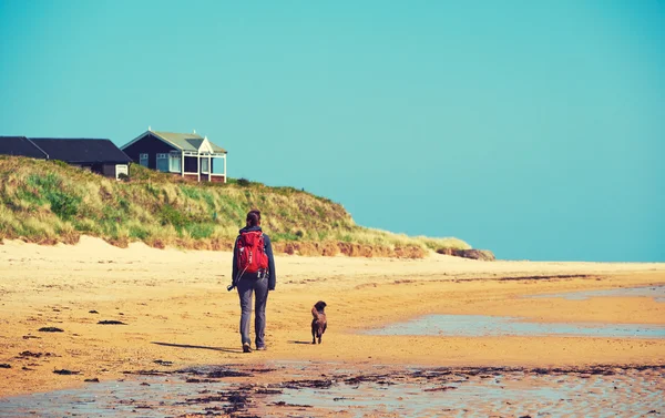 Escursionista che cammina su una spiaggia con un cane — Foto Stock