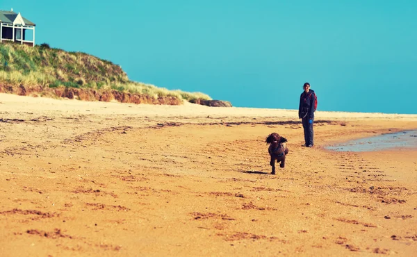 Caminhante andando em uma praia com um cão — Fotografia de Stock