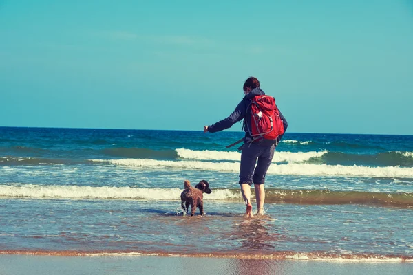 Escursionista che cammina su una spiaggia con un cane — Foto Stock