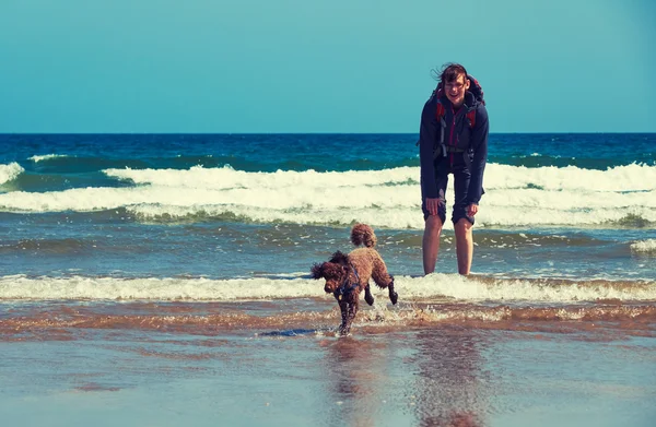 Escursionista che cammina su una spiaggia con un cane — Foto Stock