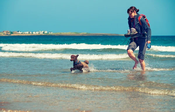 Turysta, chodzenie na plażę z psem — Zdjęcie stockowe