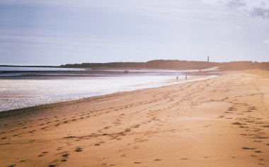 Bir kumsala sahip aileler