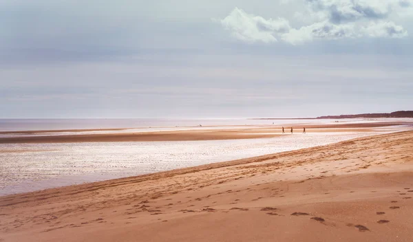 Famiglie su una spiaggia di sabbia — Foto Stock