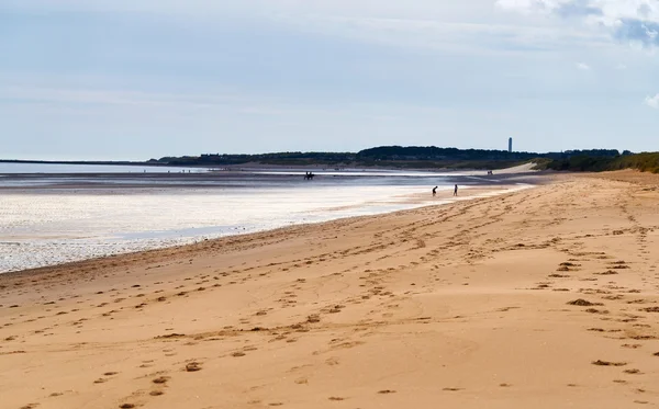 Rodzin korzystających z piaszczystej plaży — Zdjęcie stockowe