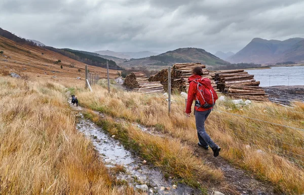 Turysta spacerując Loch Etive — Zdjęcie stockowe