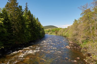 River Spey view clipart