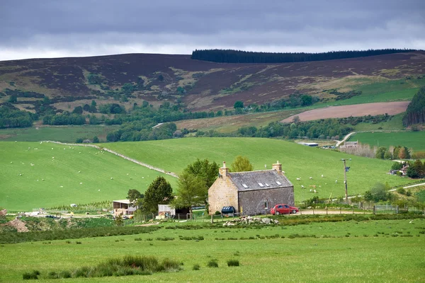 View of Scottish Highlands — Stock Photo, Image