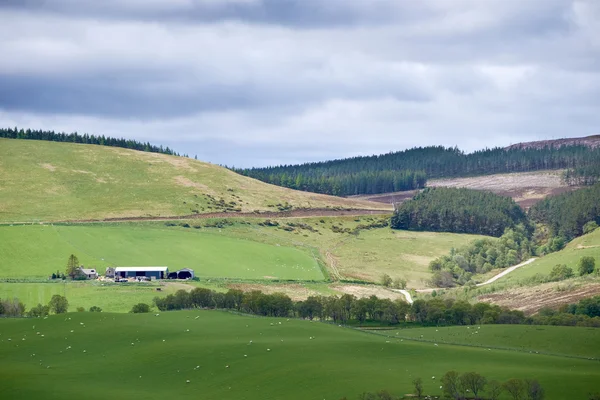 İskoçya Highlands görünümünü — Stok fotoğraf