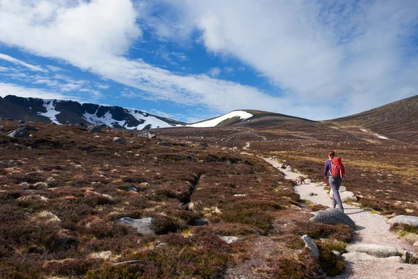 Female hiker with dog — Stock Photo, Image