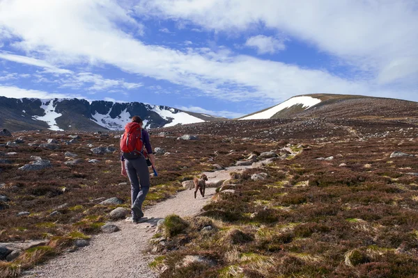 Kvinnliga vandrare med hund — Stockfoto