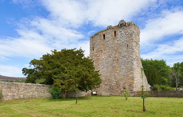 Ruines du château de Drumin — Photo