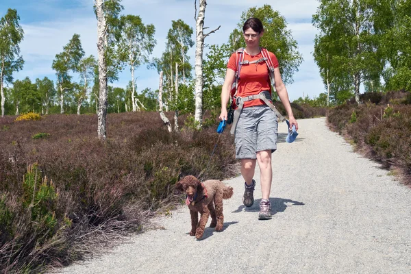 Caminante y perro a pie en las tierras altas de Escocia — Foto de Stock