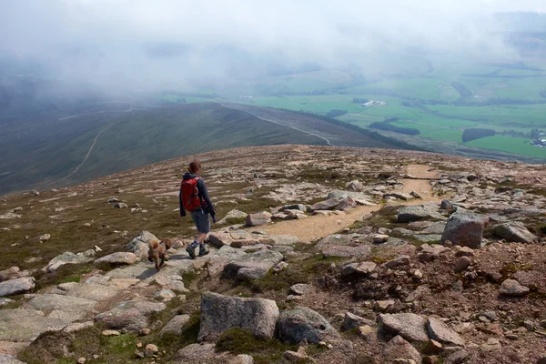 Hiker and dog descending Ben Rinnes — Stock Photo, Image