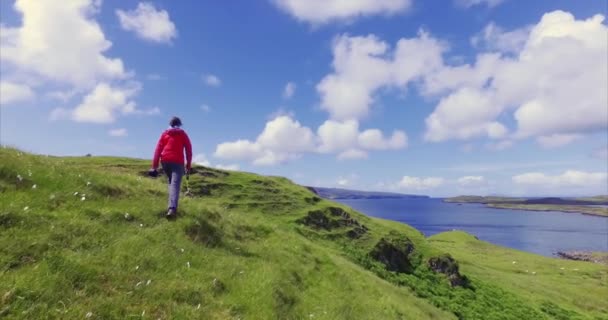 Hiker and dog walking in meadow — Wideo stockowe