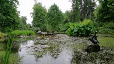 Raining on a woodland pond