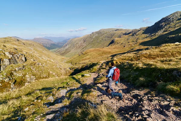 Hiker and dog walking towards Seathwaite — Stock Photo, Image