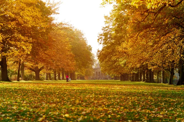 La gente cammina in alberi avenue — Foto Stock