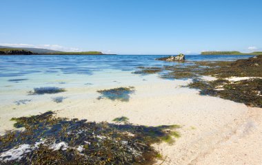 mercan plajlarda: Isle of skye