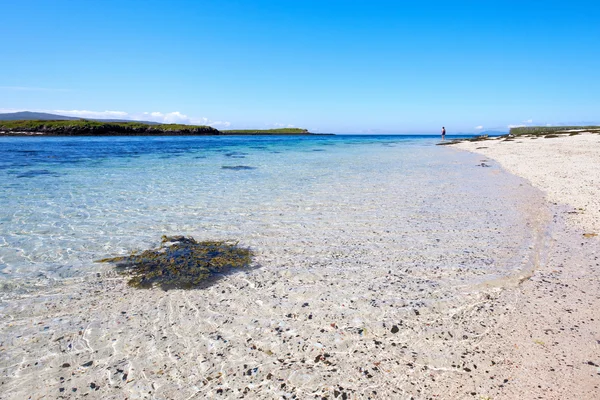 Κοραλλιογεννείς παραλίες στο isle of skye — Stockfoto