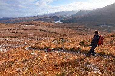 Bir uzun yürüyüşe çıkan kimse ve köpek Beinn Eighe zirvesine azalan