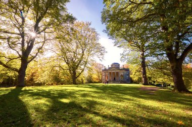 İngilizce kırsal kesimde ağaçların hatları