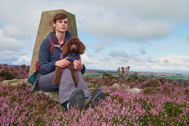 Fino köpeği yürüyüşe çıkarmayı bir kadın