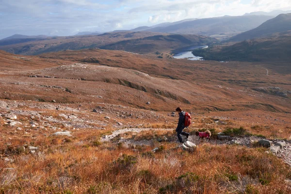 A hiker and dog descending the summit of Beinn Eighe — Stock Photo, Image