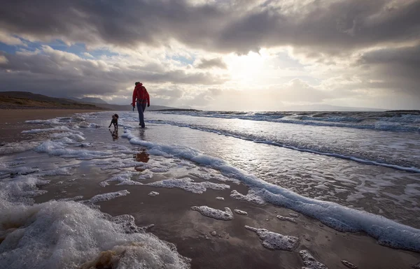 Donna a spasso il suo cane sulla spiaggia — Foto Stock