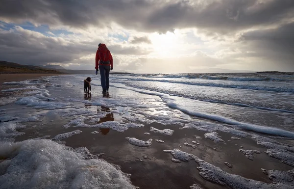 Frau geht mit Hund am Strand spazieren — Stockfoto