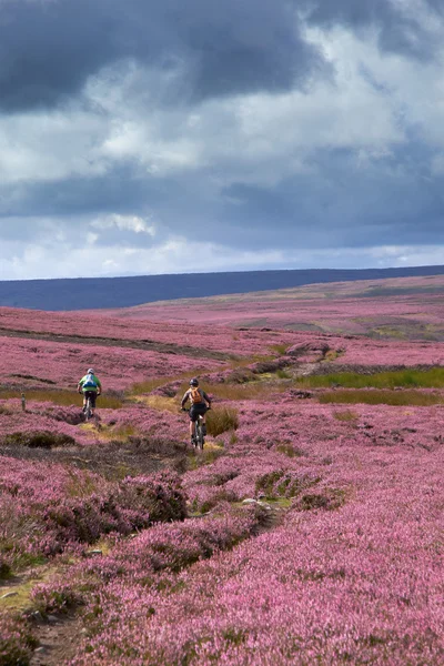Bisiklet sürme İngilizce kırsal kesimde